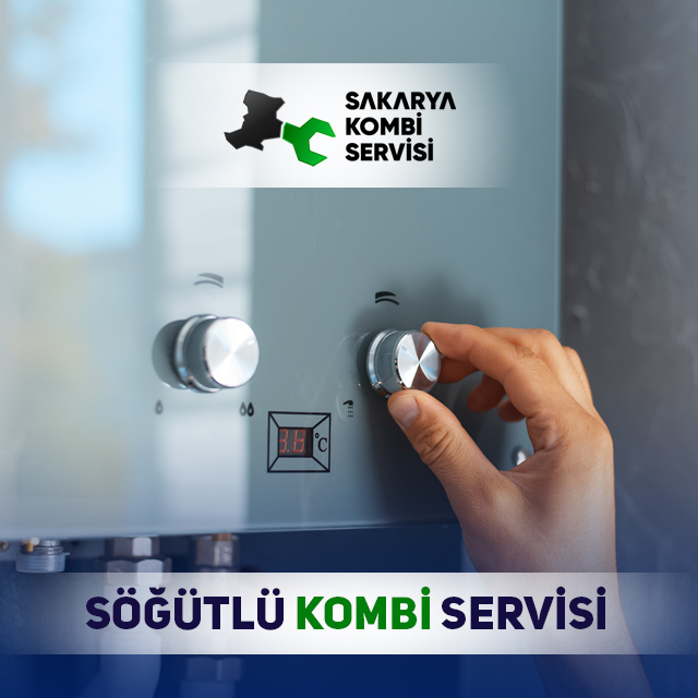 Söğütlü Kombi Servisi